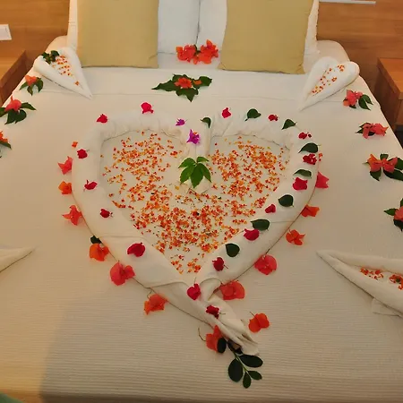 Selenium 3* Сіде