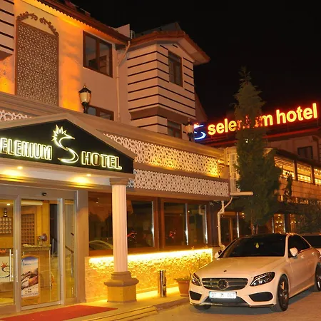 Selenium Hotel 3*