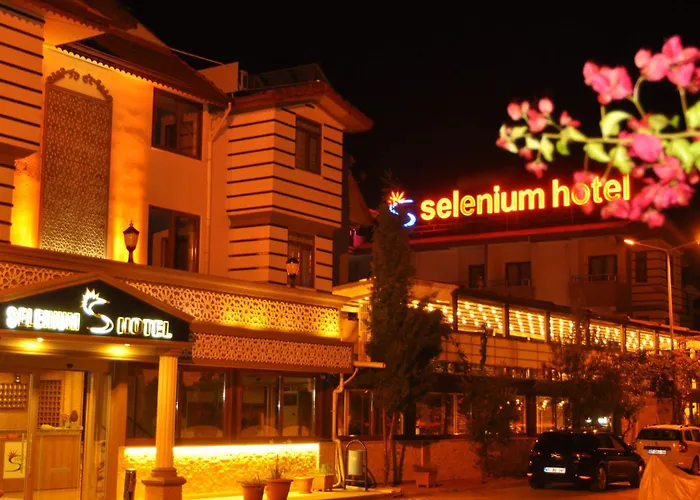 Hotel Selenium