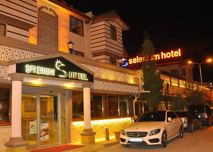 Selenium Hotel 3*