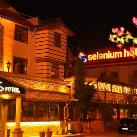 Отель Selenium