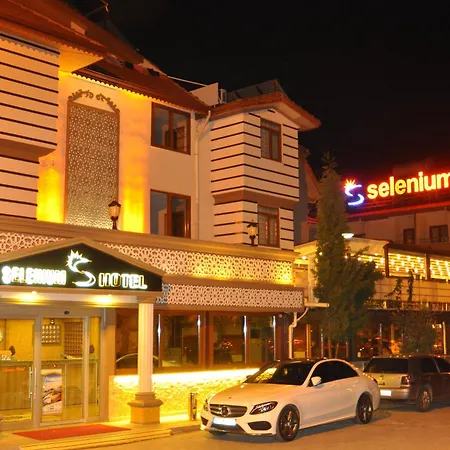 塞勒尼姆酒店 3*