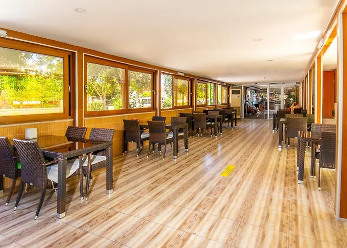 酒店 塞勒尼姆酒店 锡德