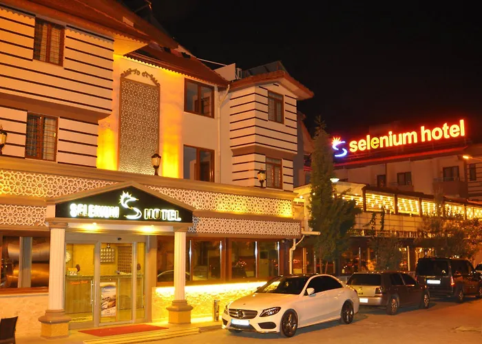 塞勒尼姆酒店 3*