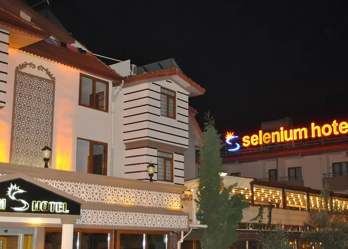 塞勒尼姆酒店
